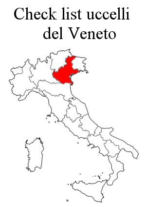 check_Veneto.jpg
