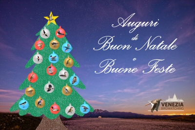 Auguri_buon_Natale.jpg