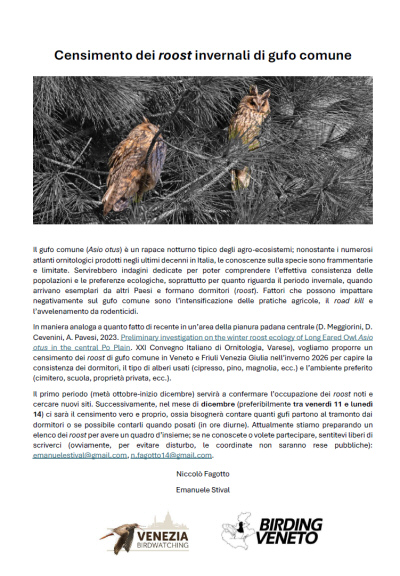 Locandina_censimento_Gufi_comuni_g.jpg