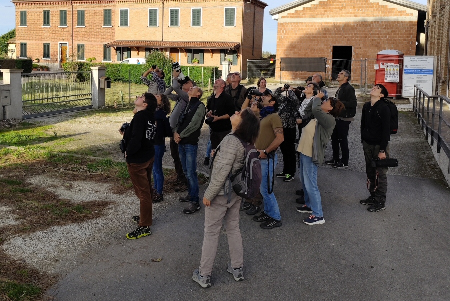 Paesaggio_birders_Sacca_Sacrdovari_12_10_2024.sf.jpg