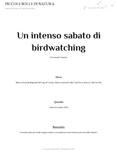 un_intenso_sabato_di_birdwatching_10_2020