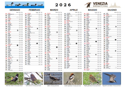 calendario_vebw_2026_semest.jpg